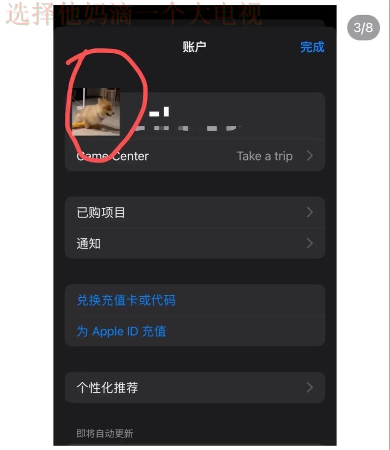 半岛APP苹果版下载安装教程 半岛APP苹果版下载安装教程